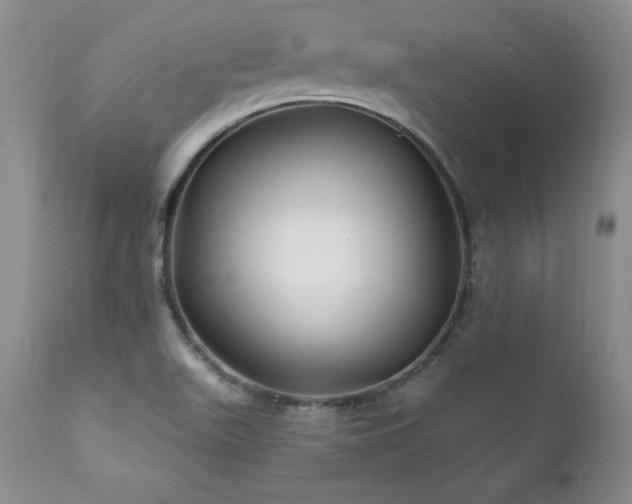 X0000111911511200907271209