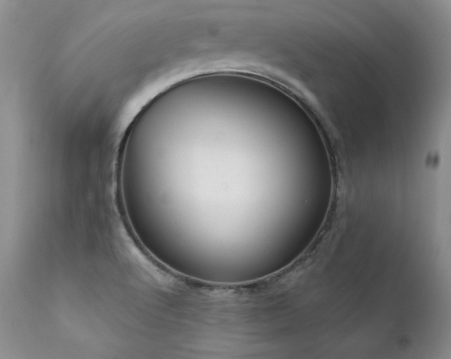 X0000111911512200907271209