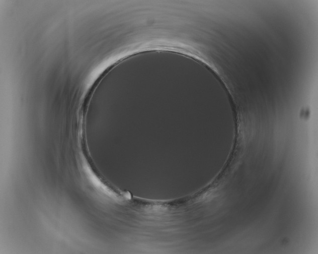 X0000111911515200907271209