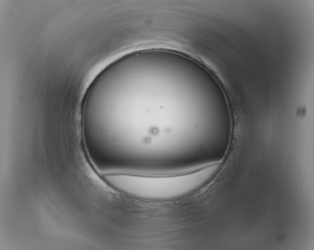 X0000111911516200907271209
