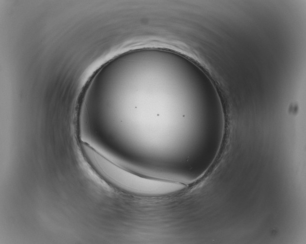 X0000111911518200907271209