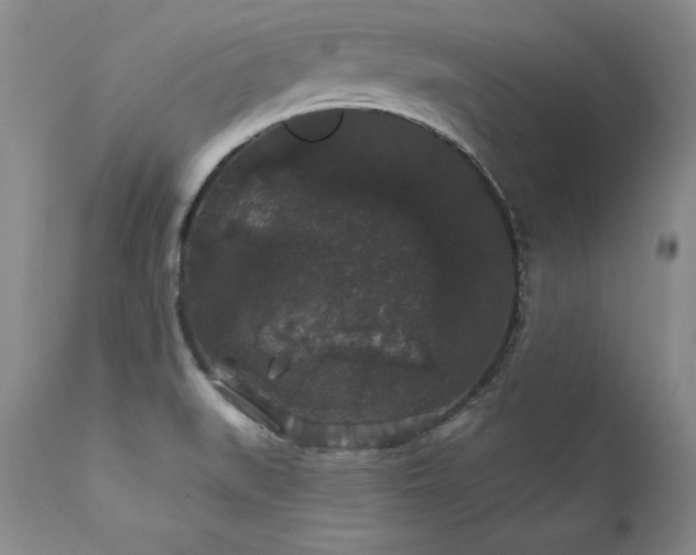 X0000111911519200907271209