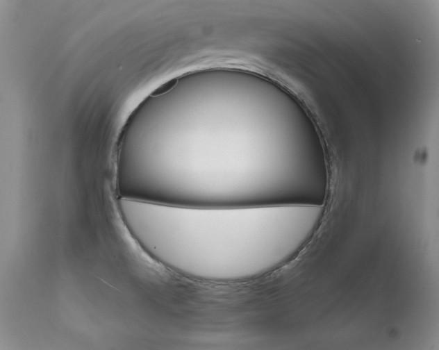 X0000111911520200907271209