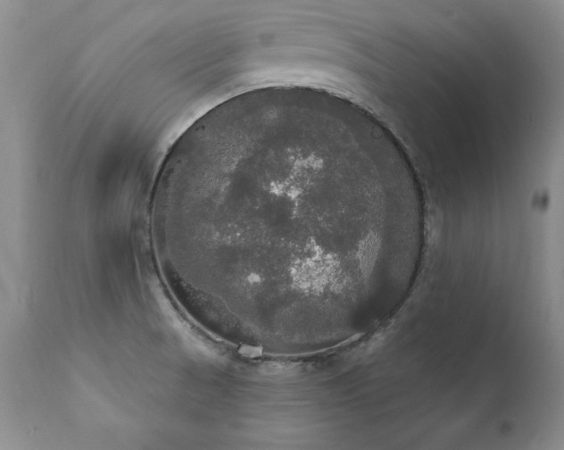 X0000111911521200907271209
