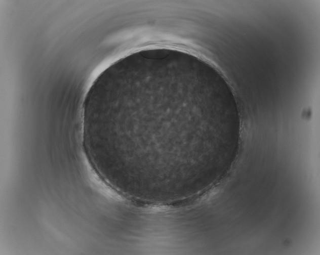 X0000111911522200907271209