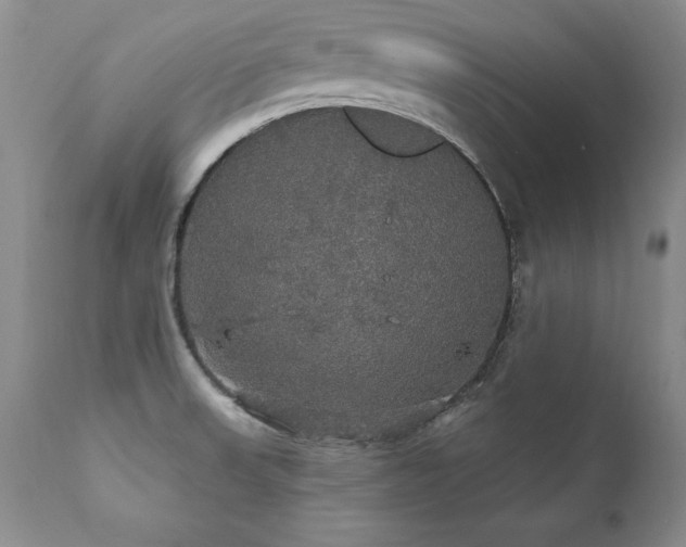 X0000111911523200907271209