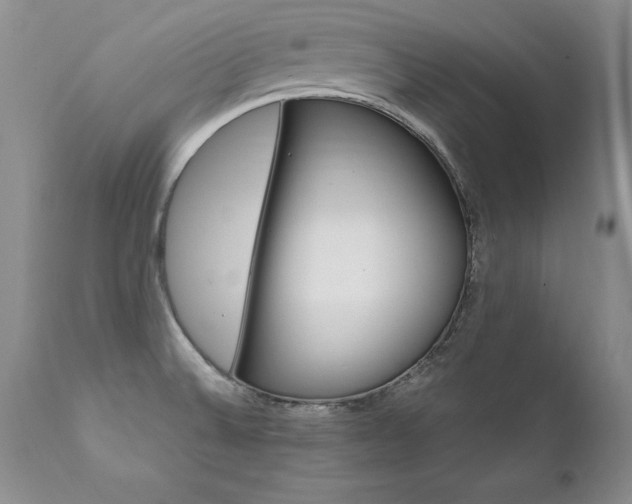 X0000111911524200907271209