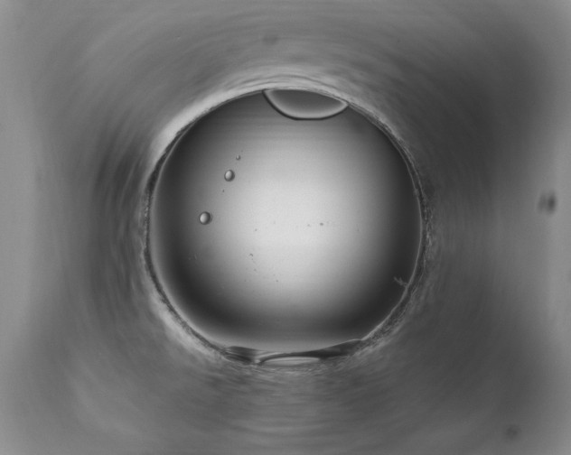 X0000111911526200907271210