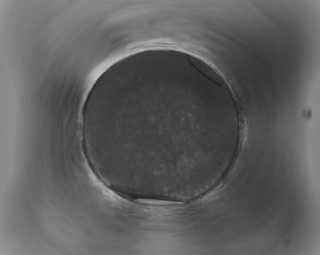 X0000111911527200907271210