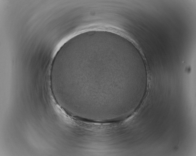 X0000111911530200907271210