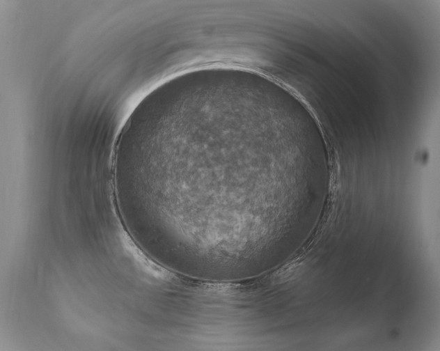 X0000111911532200907271210