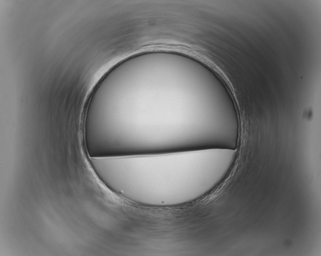 X0000111911533200907271210