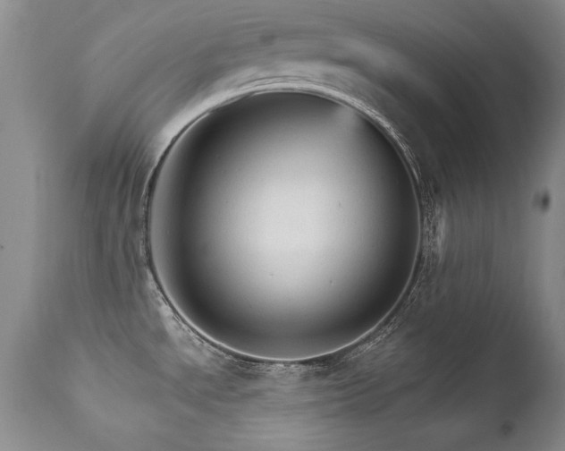 X0000111911534200907271210