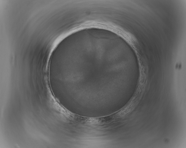 X0000111911536200907271210