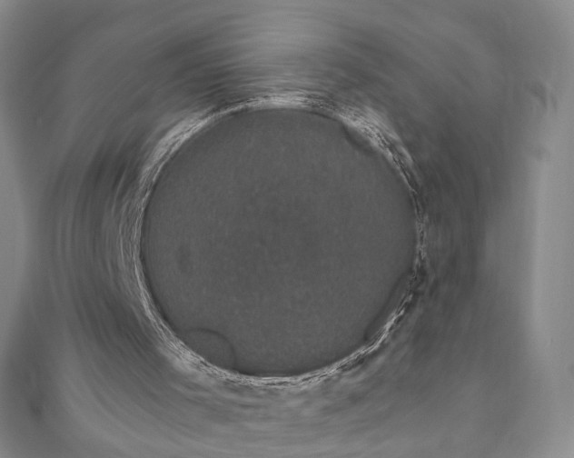 X0000111910001200908031147