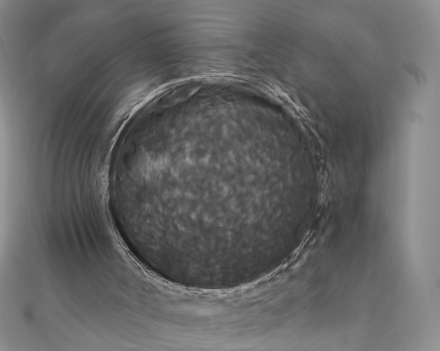 X0000111910002200908031147