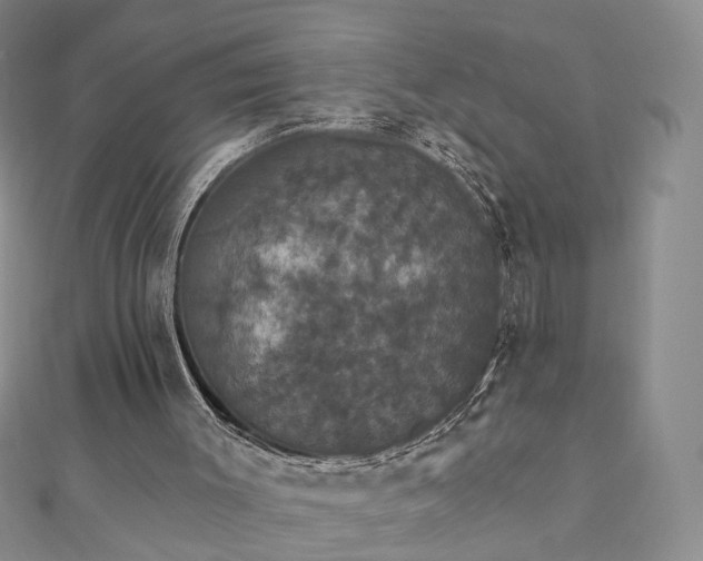 X0000111910003200908031147