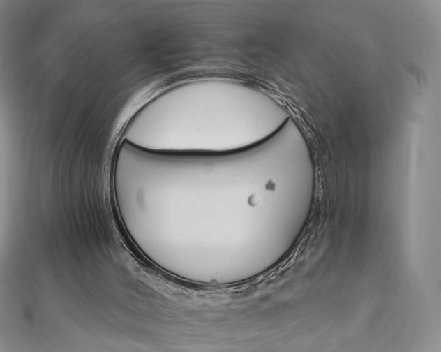 X0000111910004200908031147