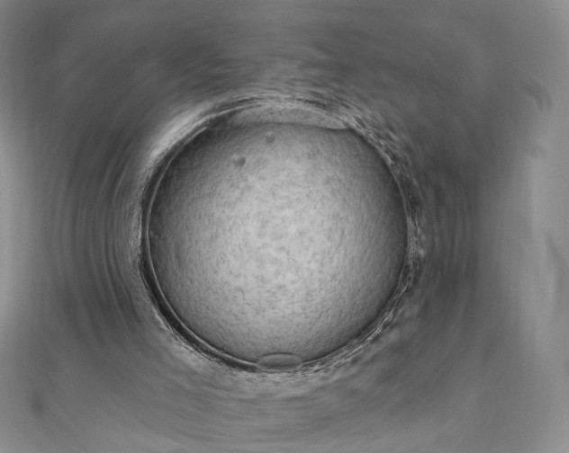 X0000111910005200908031147