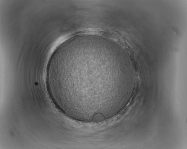 X0000111910006200908031147