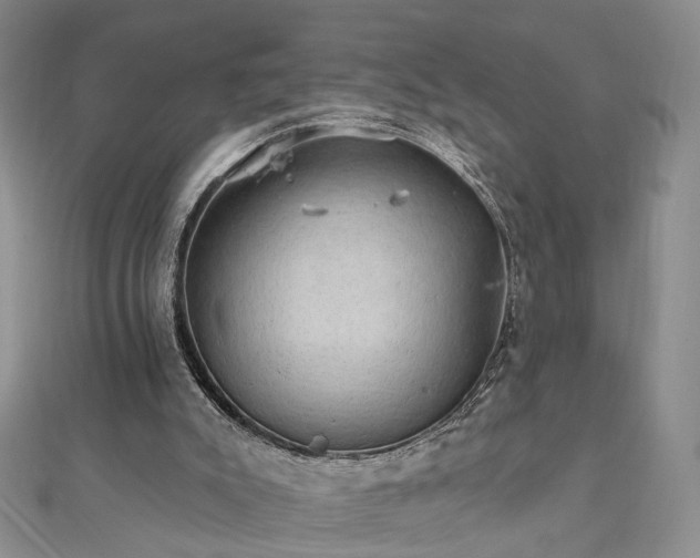 X0000111910007200908031147