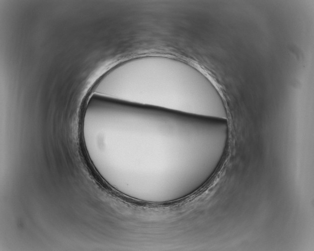 X0000111910008200908031147