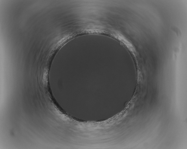 X0000111910009200908031147