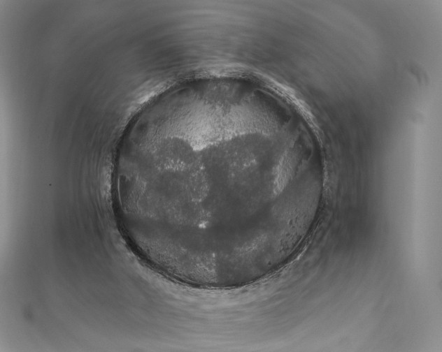 X0000111910010200908031147