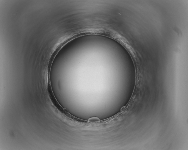 X0000111910011200908031147