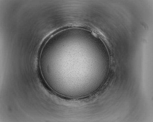 X0000111910012200908031147