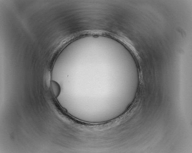 X0000111910013200908031147