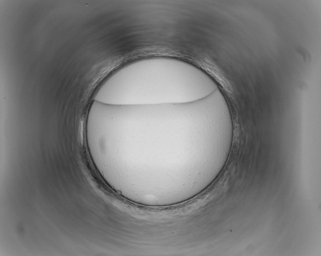 X0000111910014200908031147