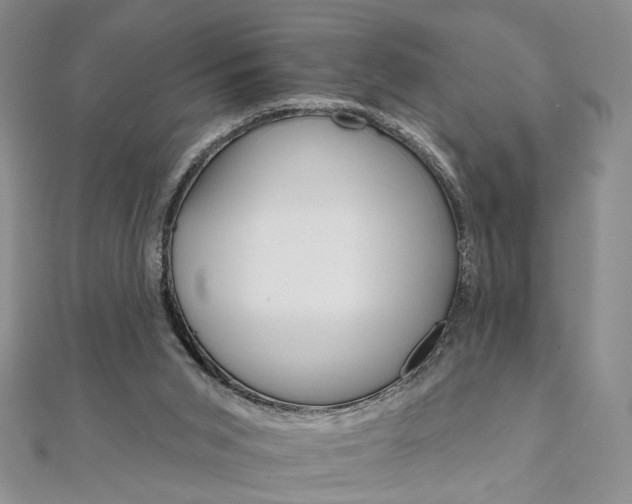 X0000111910015200908031147