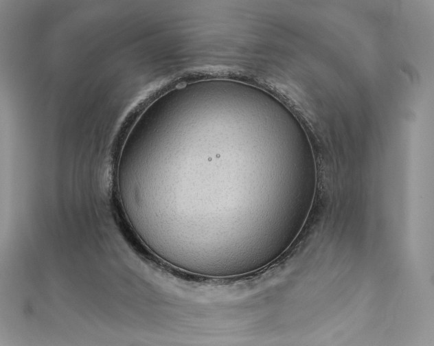 X0000111910016200908031147