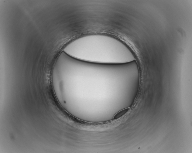 X0000111910017200908031147