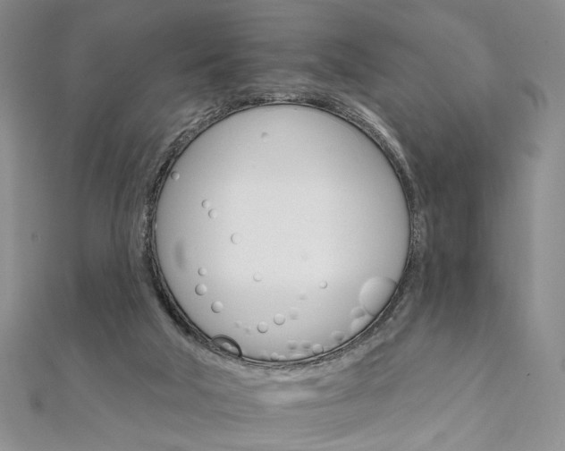 X0000111910018200908031147