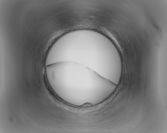 X0000111910019200908031147