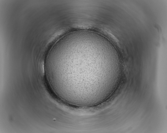 X0000111910020200908031147