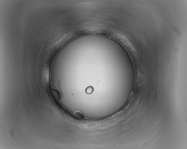 X0000111910021200908031147