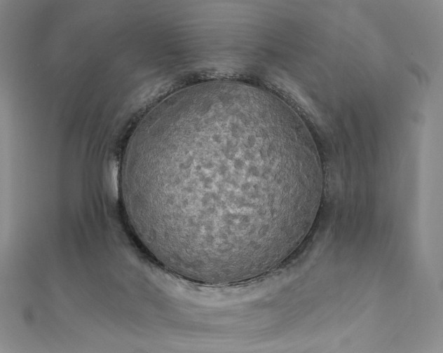 X0000111910022200908031147