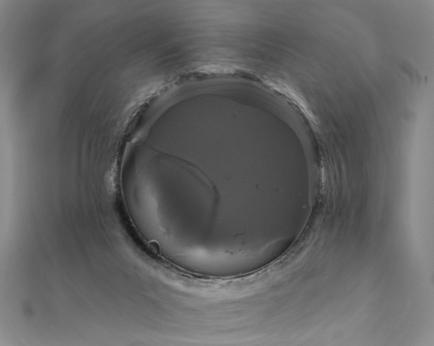 X0000111910023200908031147