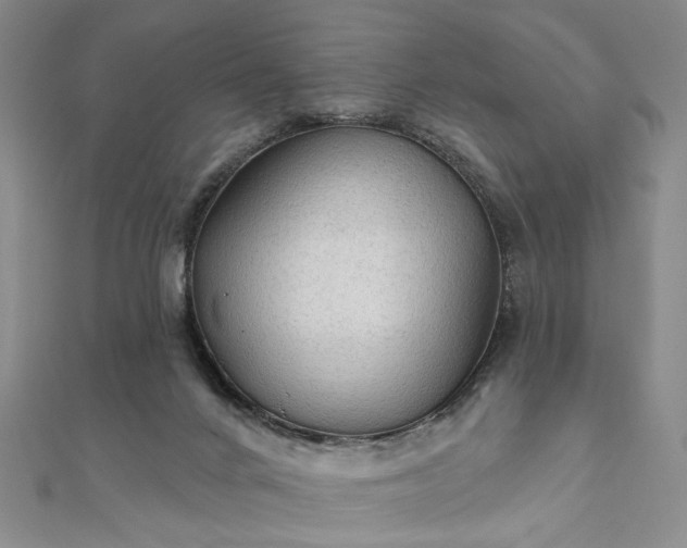 X0000111910024200908031147