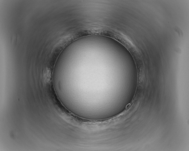 X0000111910025200908031147