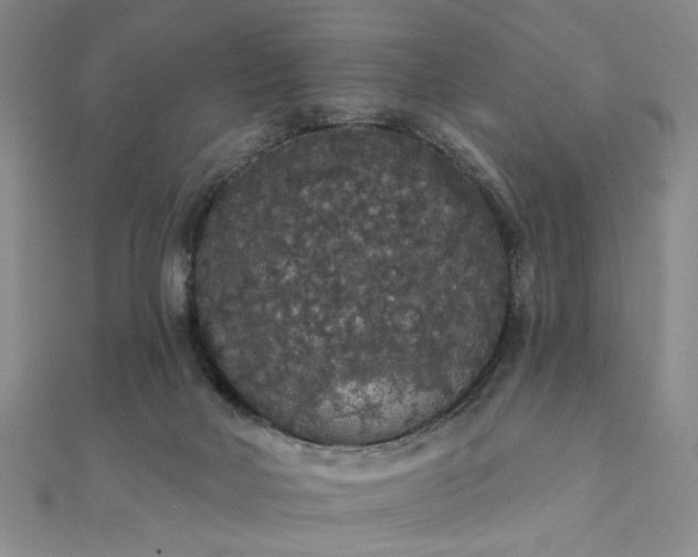 X0000111910026200908031147