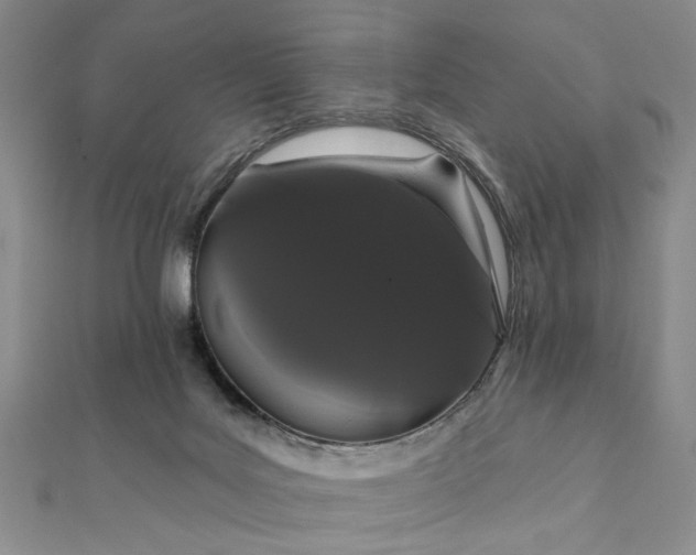 X0000111910027200908031147