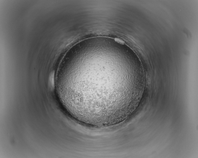 X0000111910028200908031147