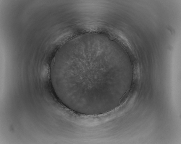 X0000111910029200908031147