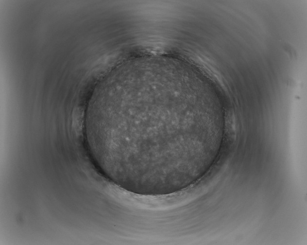 X0000111910030200908031147