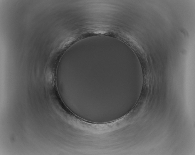 X0000111910031200908031147