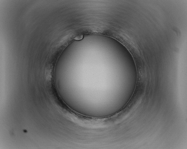 X0000111910032200908031147